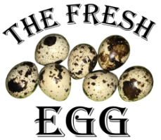 The Fresh Egg Company Logo by Christina Freshegg in Franklin IN