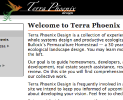 Terra Phoenix Design Company Logo by Dave Boehnlein in Seattle WA
